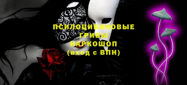 спайс Арсеньев