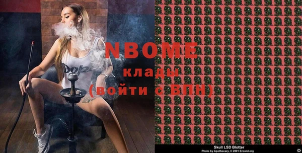 крисы Ельня