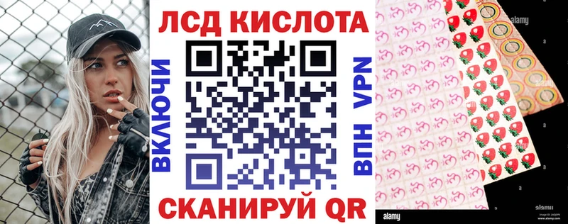 закладка  KRAKEN сайт  Наркотические марки 1500мкг  Суджа 