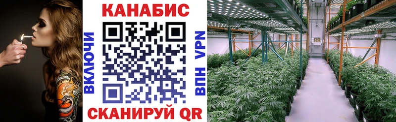 Каннабис гибрид  Суджа 